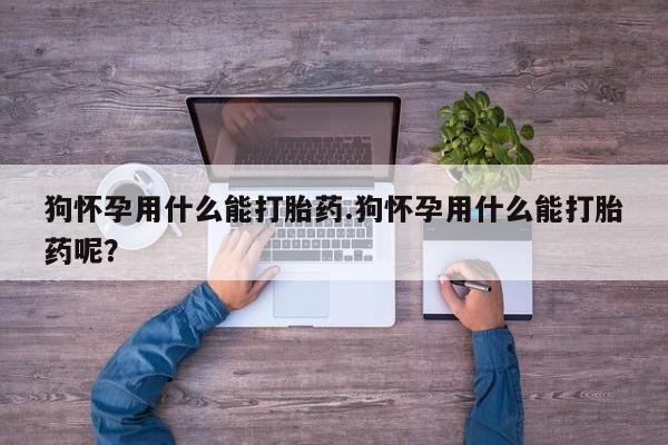 网上哪里可以买米非和米索，狗怀孕用什么能打胎药.狗怀孕用什么能打胎药呢？