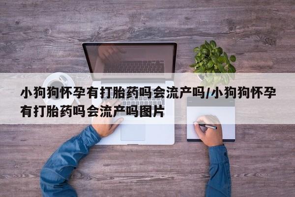网上哪里可以买米非和米索，小狗狗怀孕有打胎药吗会流产吗/小狗狗怀孕有打胎药吗会流产吗图片