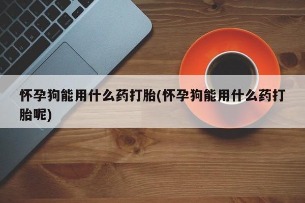 网上哪里可以买米非和米索，怀孕狗能用什么药打胎(怀孕狗能用什么药打胎呢)